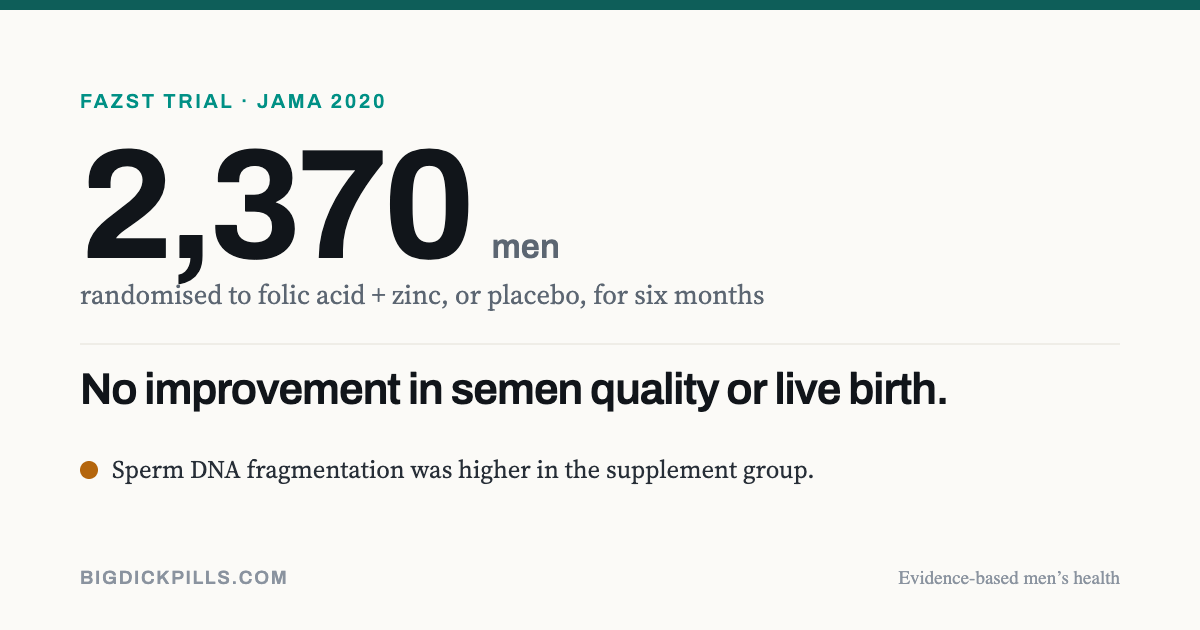 The FAZST trial randomised 2,370 men to folic acid plus zinc or placebo for six months and found no improvement in semen quality or live birth, with higher sperm DNA fragmentation in the supplement group.